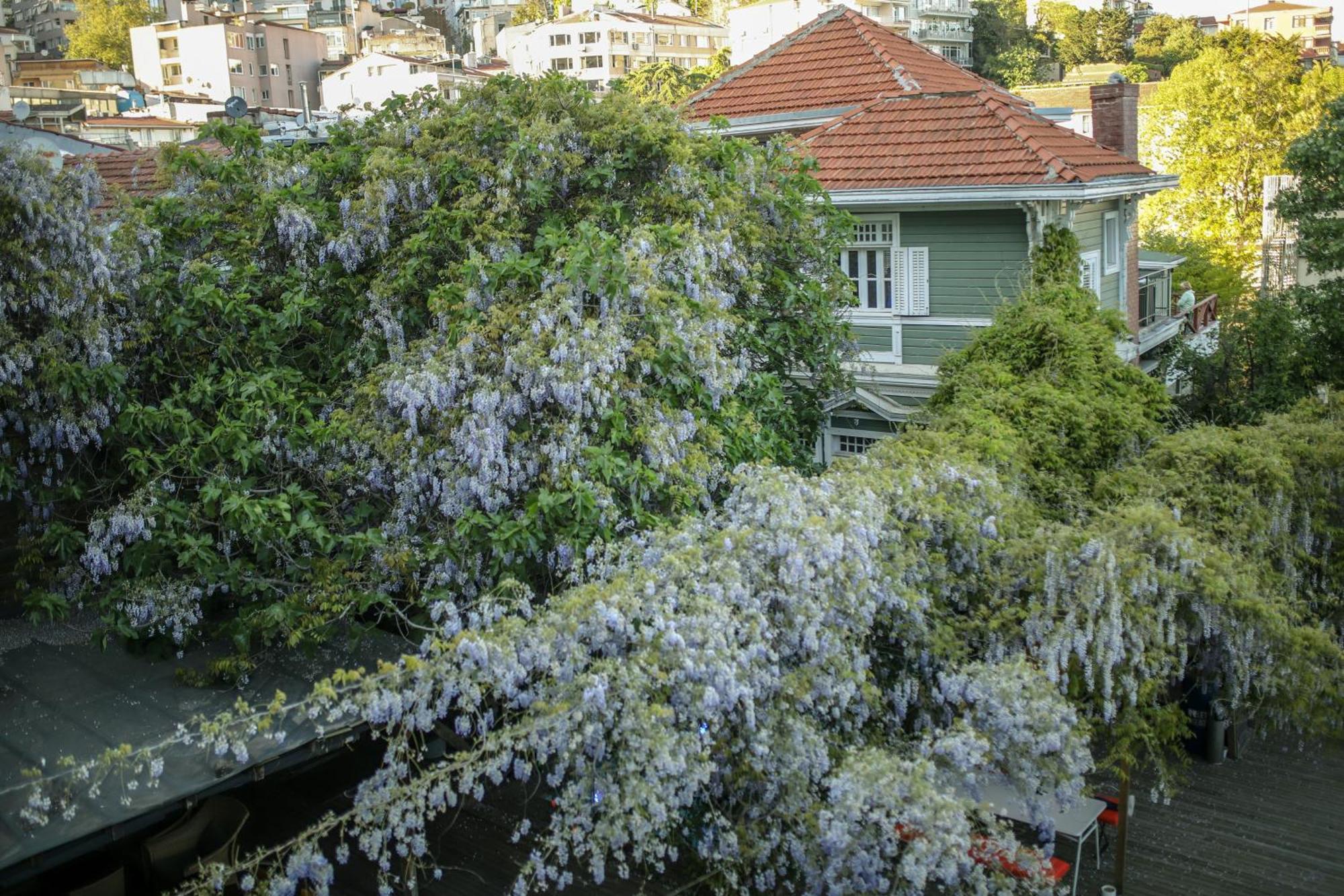Loop Hotel Bosphorus איסטמבול מראה חיצוני תמונה